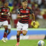 Luiz Araújo, figura decisiva no Flamengo em 2024.
