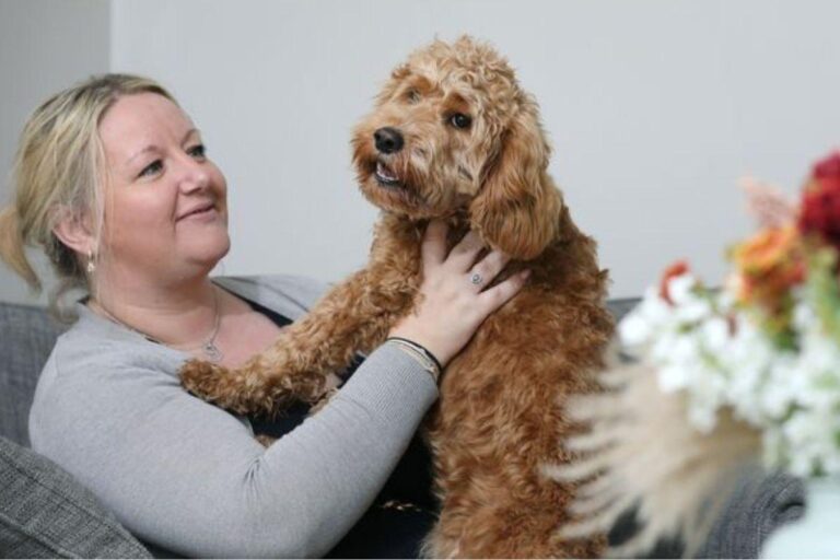 Filhote de cachorro recupera a mobilidade com impressão 3D de parafusos.