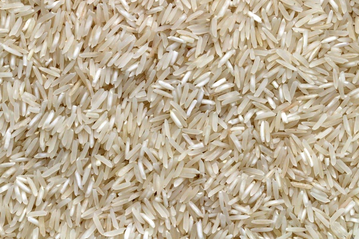 Título: PF investiga possíveis irregularidades em leilão de arroz importado.