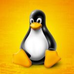 Linux agora tem sua própria "tela azul da morte": guia de resolução de problemas.