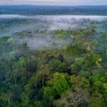 Investimento de R$ 500 milhões para impulsionar a ciência na Amazônia. Investimento de R$ 500 milhões para impulsionar a ciência na Amazônia.