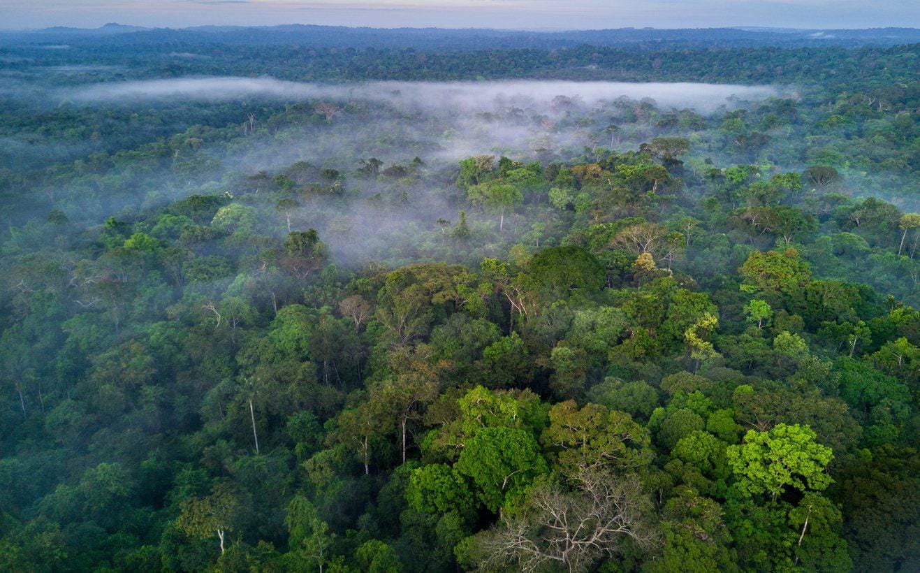 Investimento de R$ 500 milhões para impulsionar a ciência na Amazônia.