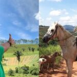 Marcos Palmeira, estrela da TV, é proprietário de fazenda ecológica. Marcos Palmeira, estrela da TV, é proprietário de fazenda ecológica.