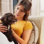 Porque os tutores adoram criar seus pets como filhos. Porque os tutores adoram criar seus pets como filhos.