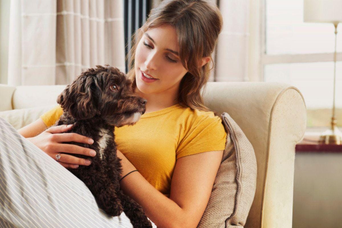 Porque os tutores adoram criar seus pets como filhos.