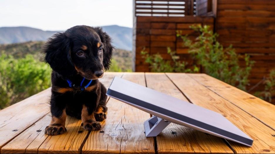 Starlink solicita licença para novos 7,5 mil satélites no Brasil.