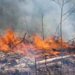 Plano urgente do governo contra queimadas na Amazônia.