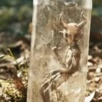 Diabinho sangrando e devorado em capítulo macabro. Diabinho sangrando e devorado em capítulo macabro.