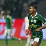 Sete eliminações consecutivas do Palmeiras no Allianz Parque. Sete eliminações consecutivas do Palmeiras no Allianz Parque.