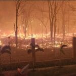 Incêndios inesperados causam pânico em Ribeirão Preto. Incêndios inesperados causam pânico em Ribeirão Preto.