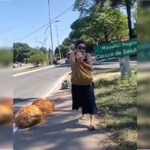 Mulher violenta é ameaça constante para família no Guará. Mulher violenta é ameaça constante para família no Guará.