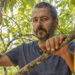 Novela da Globo: Resumo Semanal de Renascer.