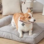 Economia de custos: 5 opções de rastreadores por menos de R$ 70. Economia de custos: 5 opções de rastreadores por menos de R$ 70.