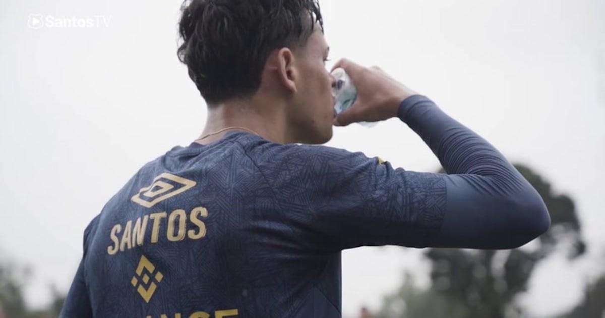 santos-treina-para-duelo-confirmar-acesso-serie-a